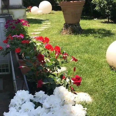Parco Fellini Fregene